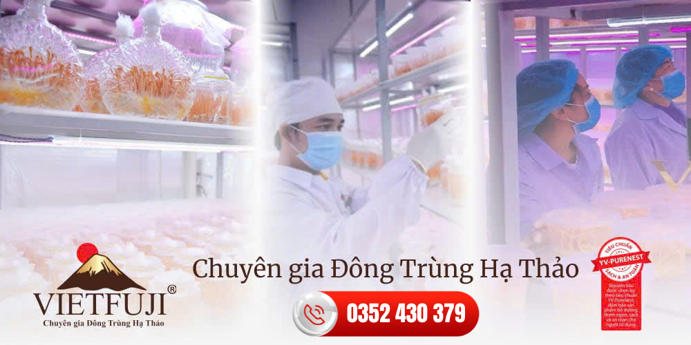 Trang chủ 48 Mobile 1